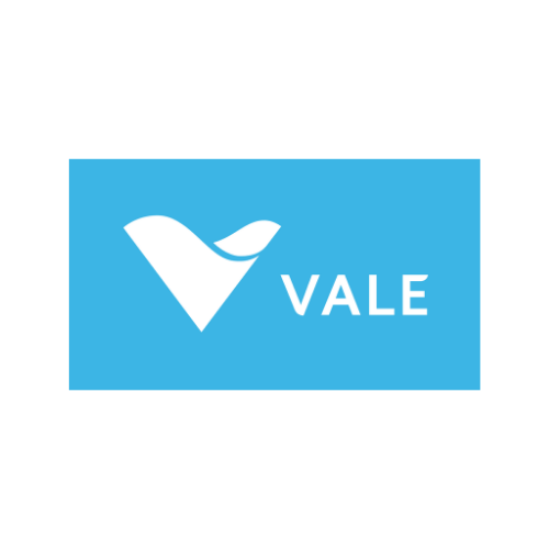 Vale Base Metals Logo