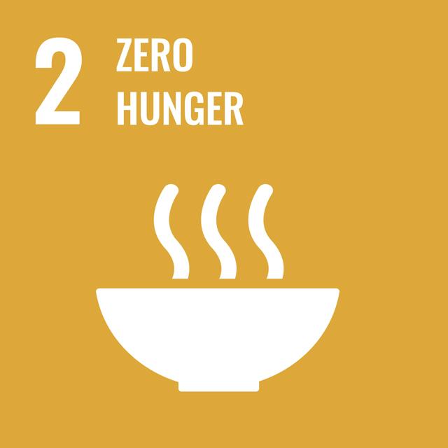 sdg 2