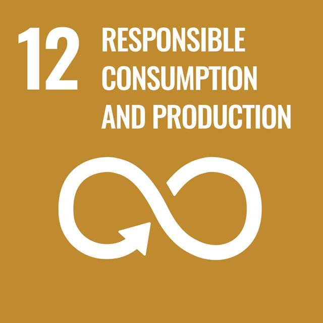 sdg 12