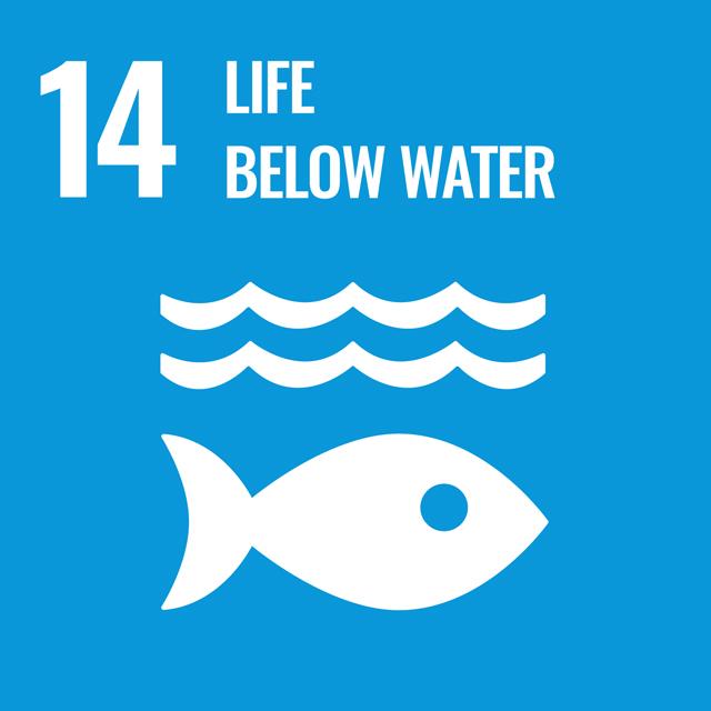 sdg 14